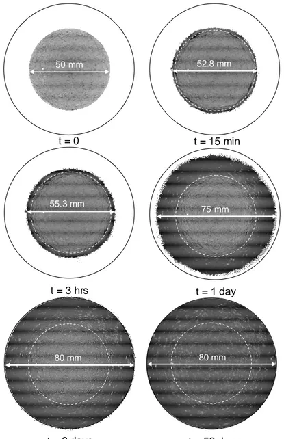 Figure 5. A cross section of the sample at the middle of the sample at different hydration times (time of the  start of the scan)