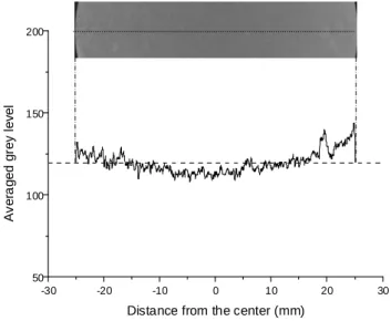 Figure 10. Averaged gray level profile of the central 8 mm thickness along the diameter at t = 0
