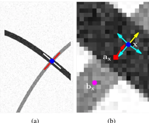 Fig. 4. (a) Blue dot indicates a crossing point x and the target tubularity has stronger gray levels