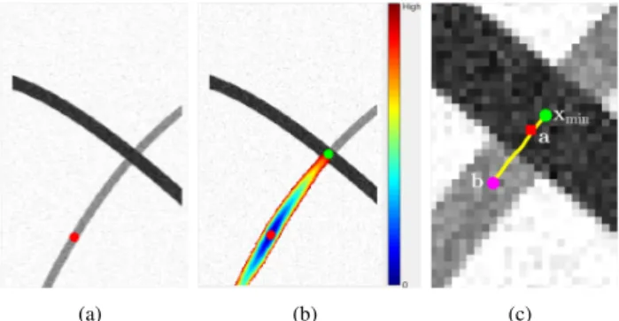 Fig. 5. (a) Two tubular structures crossing each other. The red dot indicates the source point