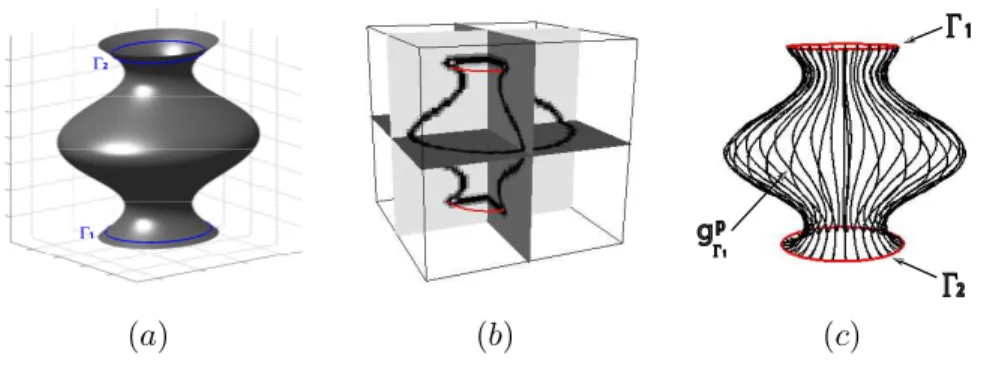 Figure 2. (a) represents the original surface from which we generated the synthetic image
