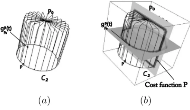 Figure 3. (a) Some curves belonging to the minimal paths set defined between p 1