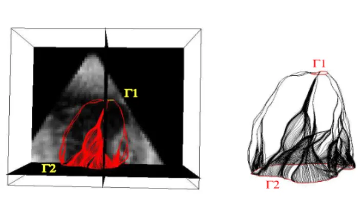 Figure 4. Some paths belonging to S Γ 2