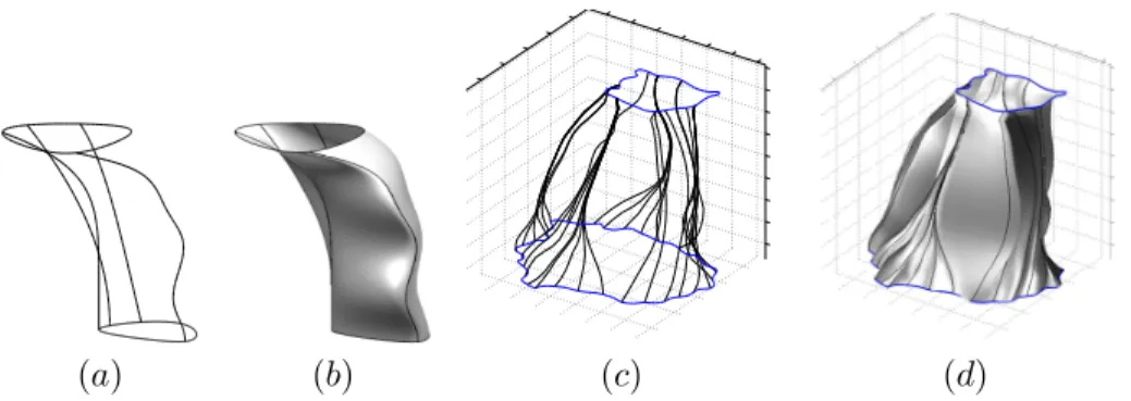 Figure 8. (a) Test network of four paths synthetically produced, Γ 1 and Γ 2 are the