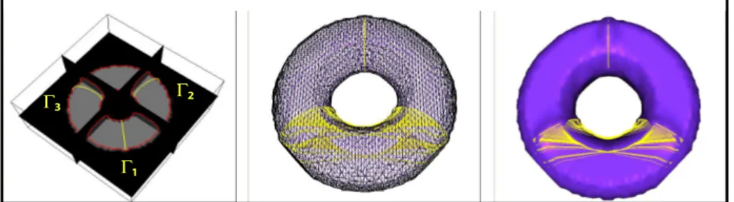 Fig. 9: Implicit segmentation of a torus synthetic image by minimal paths under three constraining