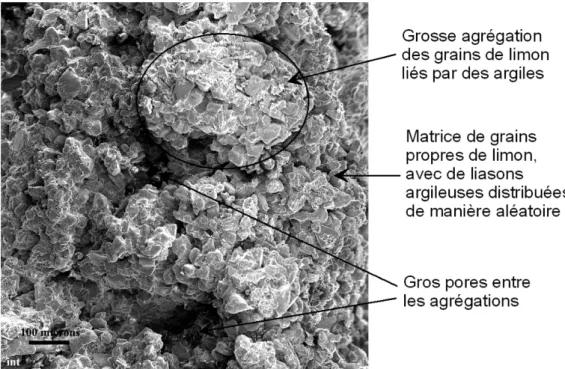 Figure 1-8. Structure d’un échantillon de lœss du Nord de la France 
