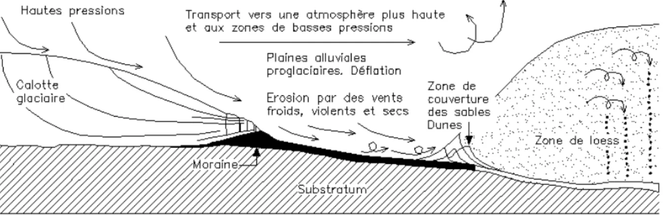 Figure 1-15. Processus de formation des lœss (d’après Andersen et Borns 1997 cité par Antoine 2002)  Le lœss est principalement composé de particules de limon de taille d’environ 5 à 80 microns  et  d’une  fraction  assez  importante  d’argile