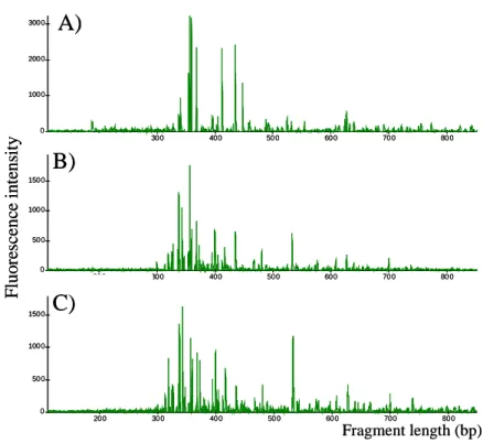 Figure 1: Exemple of A-RISA electrophoregrams obtained for bacterial communities of 