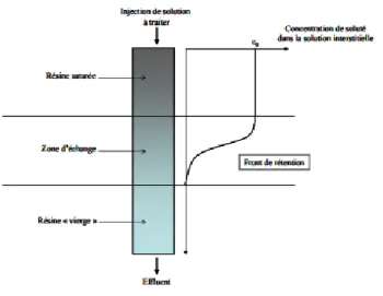 Figure 6 : Schéma représentatif du front de saturation dans une colonne garnie d’échangeurs ioniques [7] 