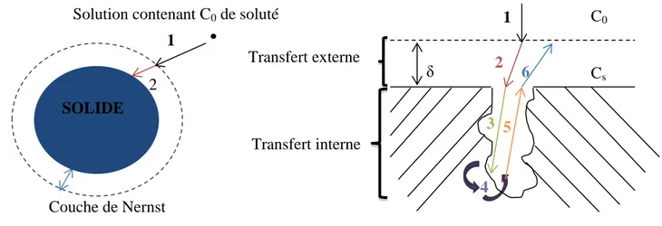 Figure 25 : Schéma de la diffusion d’un soluté depuis la solution jusque dans les pores du solide 