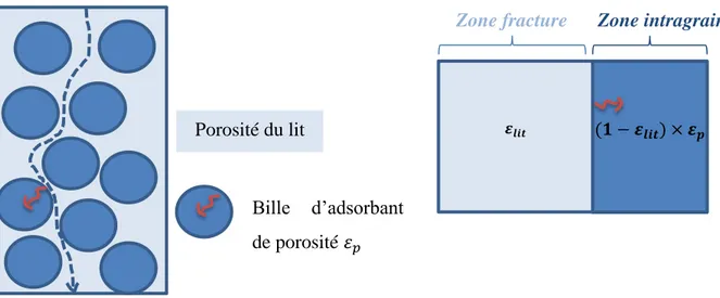 Figure 27 : Représentation schématique d’une colonne garnie et des différentes zones de convection et diffusion