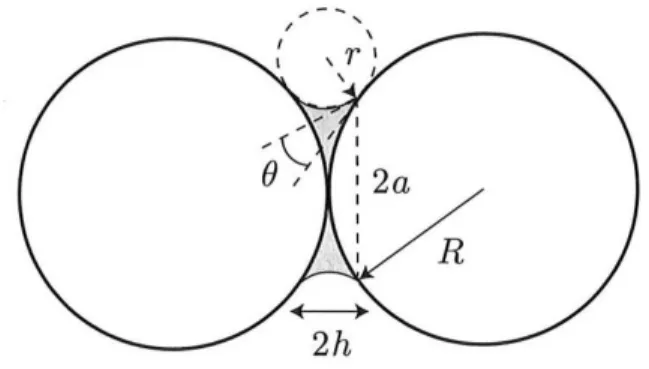 Figure 1.8: Schematic view of two smooth spheres with radius R, interacting through a liquid bridge (from [6]).
