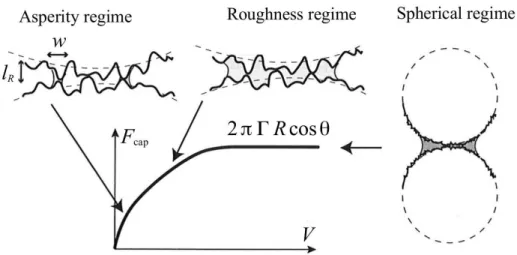 Figure 1.12: Different regimes of roughness and the variations of capillary force F cap with the Volume of liquid V in different regimes (from [6]).