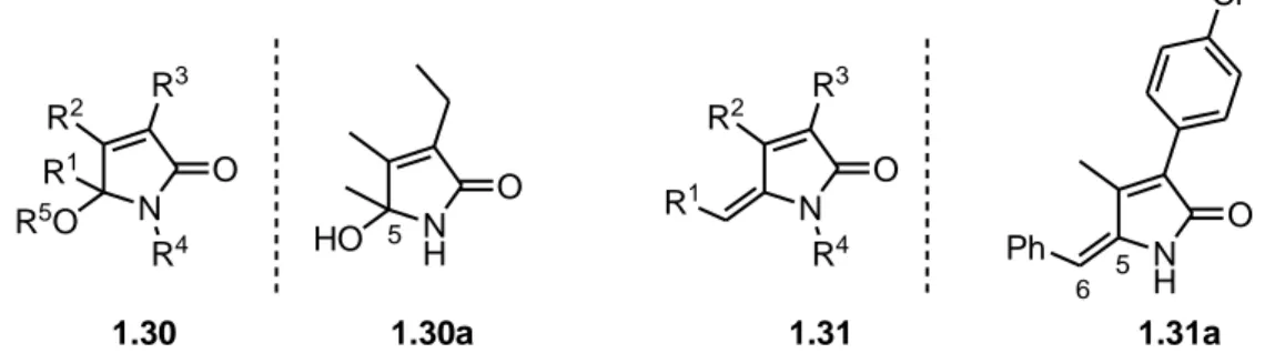 Figure 1.2: Examples of biological active 5-hydroxypyrrol-2(5H)-ones 1.30 and their  derivatives alkylidenepyrrolinones 1.31