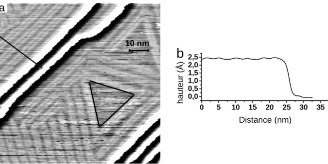 Figure  3.  (a)  Image  STM  de  la  surface  (111)  d’un  monocristal  d’or.  Image  (169  x   169)  nm²  filtrée