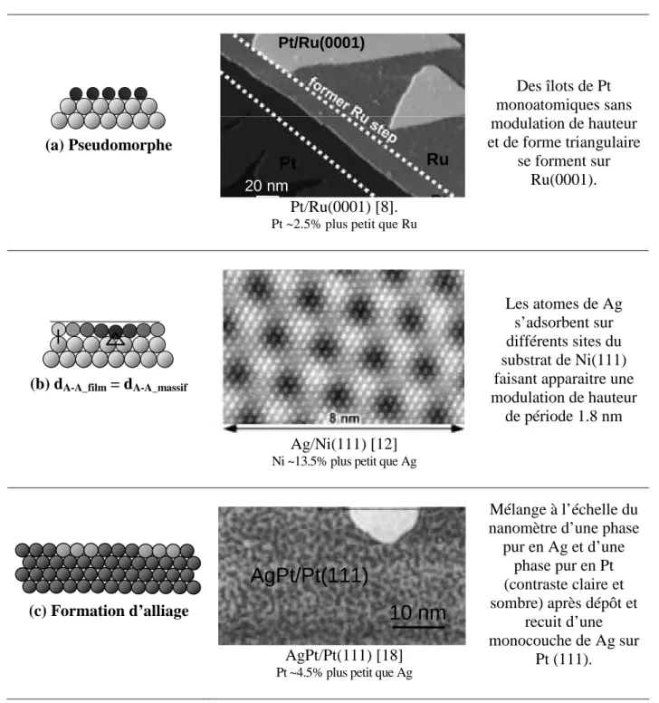 Figure 2. Exemples de microstructures possibles pour des films ultraminces de A/S. Les schémas sont  associés à des images STM