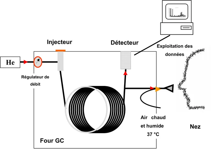 Figure 1. Schéma d'un couplage GC-O.  