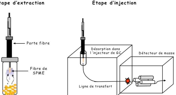 Figure 8. Principe de mise en œuvre de la SPME par espace de tête. 