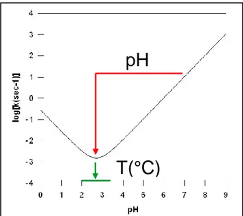 Fig. I. 11 Schéma représentant le taux d‟échange hydrogène/deutérium en fonction du pH