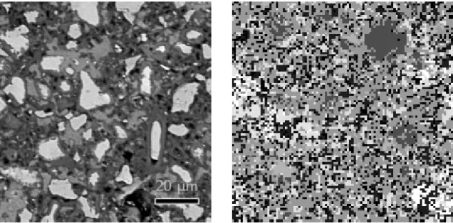 Figure 4 Gauche : Image MEB d’une microstructure de pâte de ciment. ; Droite : Coupe 2D d’une  microstructure VCCTL 3D à la même résolution
