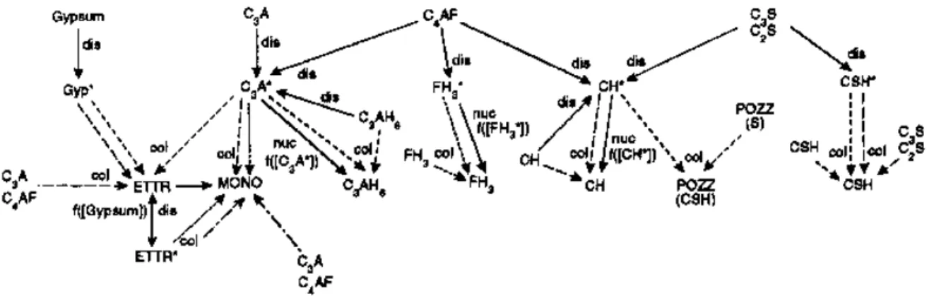 Figure 13 Règles d'interaction entre espèces dans CEMHYD3D (d'après Bentz 1995). Avec : Présence  d’un astérisque (*) : Espèce diffusante, ETTR : ettringite, MONO : monosulfoaluminate, POZZ : 