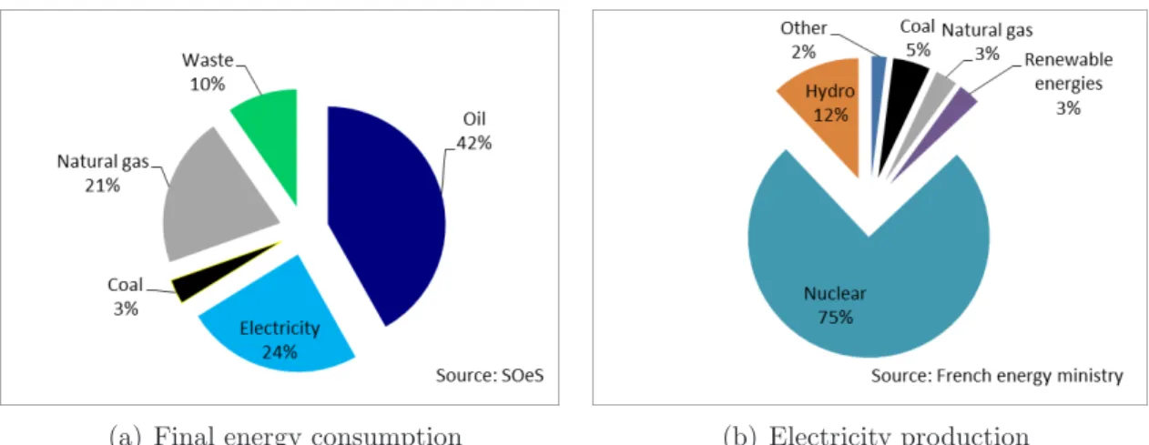 Figure 1: French energy situation in 2012