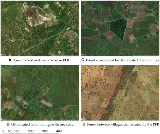 Fig. 1. Examples of forested areas demarcated by PFRs. This figure gives examples of areas containing tree cover that have been effectively demarcated by PFRs