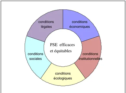 Figure  4  :  Schématisation  des  conditions  requises  pour  des  contrats  PSE  efficaces  et  équitables 