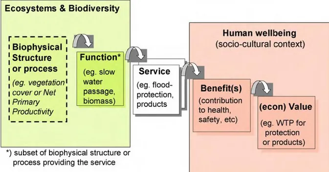 Figure 1.4. The Ecosystem Services Cascade of Haines-Young and Potschin (2010). 