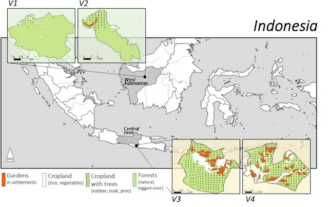 Figure 1.7. Location and land cover of the four study sites in Central Java and West Kalimantan