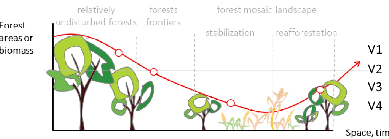 Figure 1.8. Schematic representation of a forest transition and the relative position of the four  study  sites  (V1–V4)  representing  different  situations  of  forest  cover  (adapted  from  CIFOR  2011)