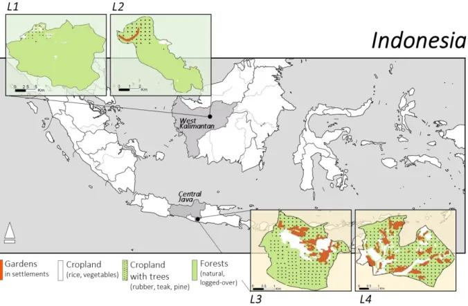 Fig  3.2.  Map  of  the  study  sites.  Land  cover  in  the  studied  landscapes  (L)  in  the  Indonesian  provinces of West Kalimantan (L1, L2) and Central Java (L3, L4) in 2014