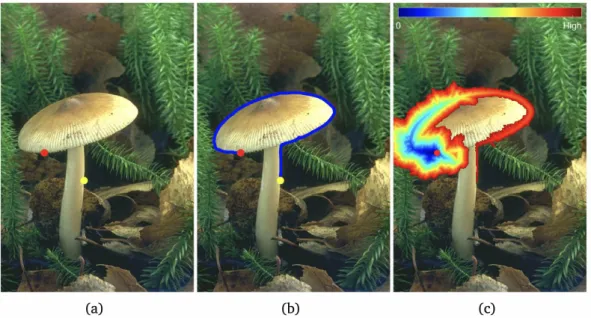 Figure 4: An example for boundary detection through an asymmetric Randers alignment minimal path
