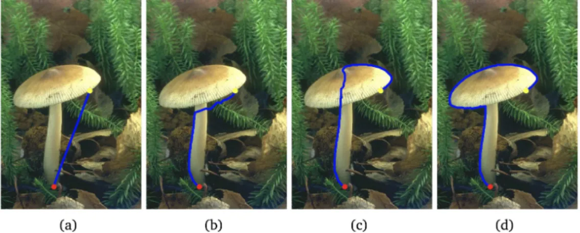 Figure 6: The Randers alignment minimal paths associated to different values of β. a to d show the Randers alignment minimal path extraction results as the values of β increase