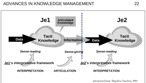 Figure 9: Creation of individual's tacit knowledge 