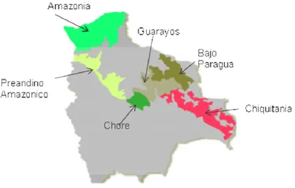 Figura 1. As regiões ecológicas da Bolívia 