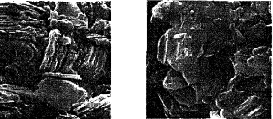 Figure 2 : Photographie au microscope électronique d'une kaolinite (à gauche, dimension réelle 17 um) et d'une  Illite (à droite, dimension réelle 7,5 um) (Mitchell, 92 d'après Tovey 1971; kaolinite de St Austell en Angleterre  et illite de Morris, Illinoi
