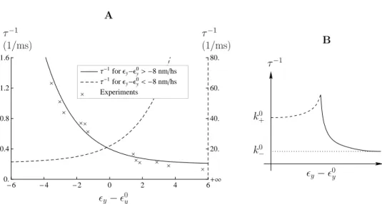Fig. 2.14 – Consistent representation of the rate following Huxley and Simmons model. ×: