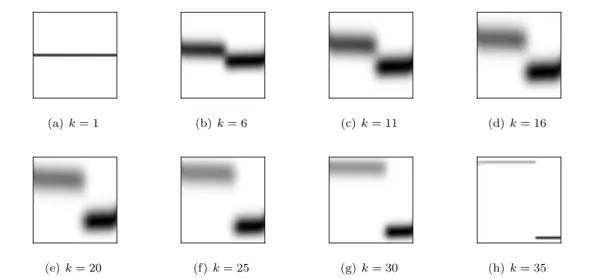 Figure 2. Fixed time marginals (et k )#µ on the cone section M × [r min, rmax]