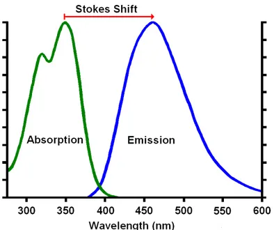 Figure 1.2: Spectre d’absorption et d’émission de fluorescence de sulfate de quinine dihydraté dans de l’acide sulfurique 0.5 M.