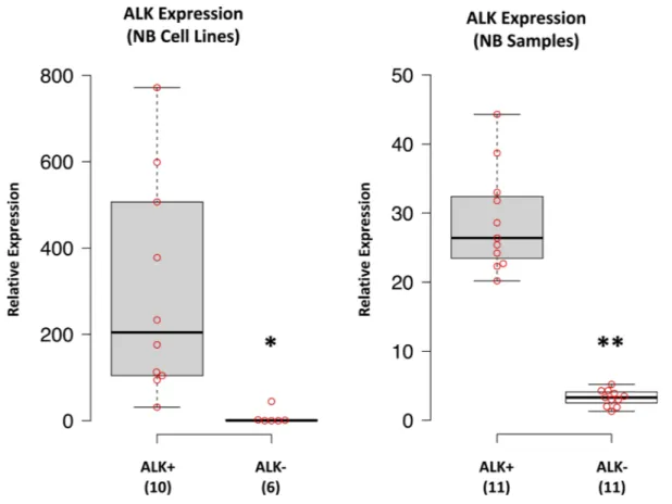 Figure 1: ALK expression in NB cell lines and samples.  ALK mRNA expression was performed by qPCR and data from NB cell 