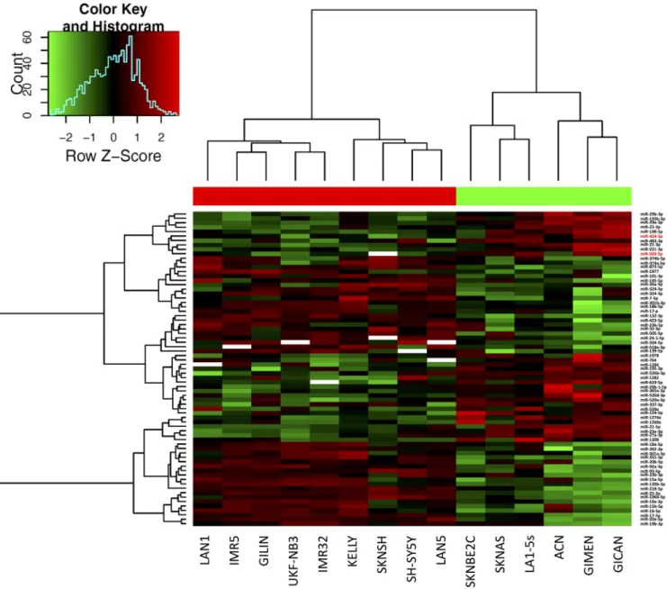 Figure  2:  Hierarchical  clustering  of  differentially  expressed  miRNAs  in  NB  cell  lines