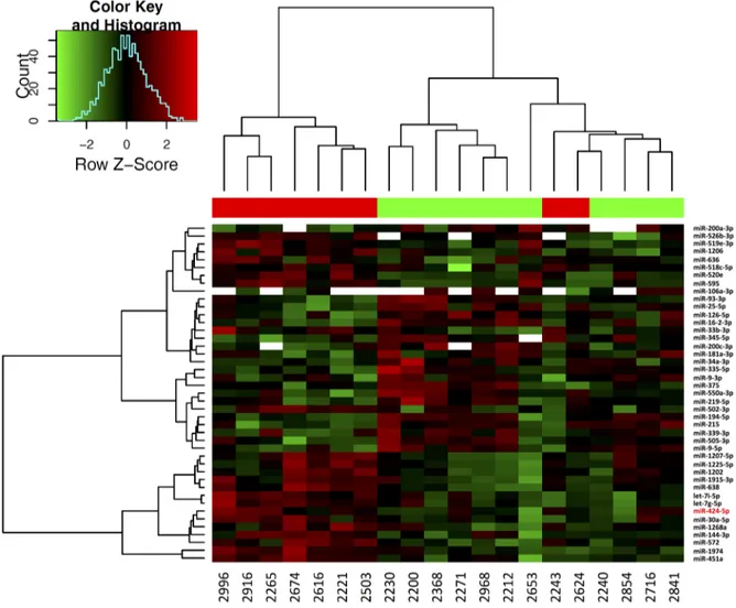 Figure 3: Hierarchical clustering of differentially expressed miRNAs in NB tumor samples