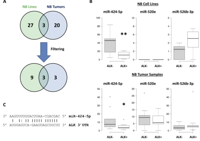 Figure 4: Validation of candidate miRNAs.  (A) Venn diagram representing the number of miRNAs that were found to be down- down-regulated in ALK+ group (or up-down-regulated in ALK- group)
