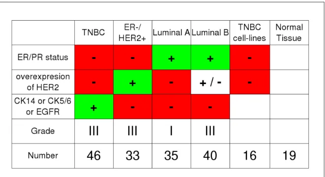Figure 2.3: Summary of the samples of the Curie-Servier dataset and their Histological and Immunohis- Immunohis-tochemical characterization.