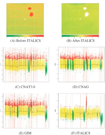 Fig. 1. Impact of spatial artifacts on genomic profiles. Image of an XbaI 100K Set chip (HF0844_Xba, Kotliarov et al