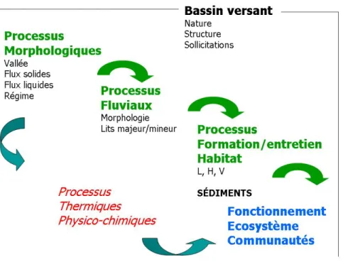 Figure 1.3 – Processus et échelles successives associées déterminant le fonctionnement de l’écosystème