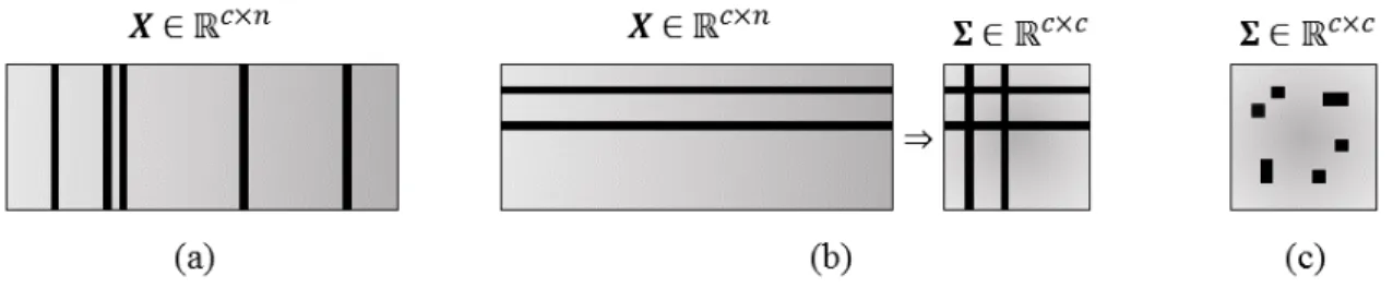 Figure 1: Illustration of the different types of missing data: (a) missing samples / observa- observa-tions in matrix X, (b) missing variables in matrices X and Σ, (c) missing elements in the matrix Σ.