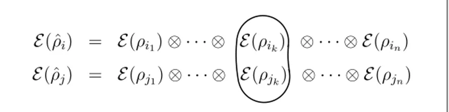 Figure 6.2: Two distinguishable tensor product sequences E(ˆρ i ) and E(ˆ ρ j ). The distin-