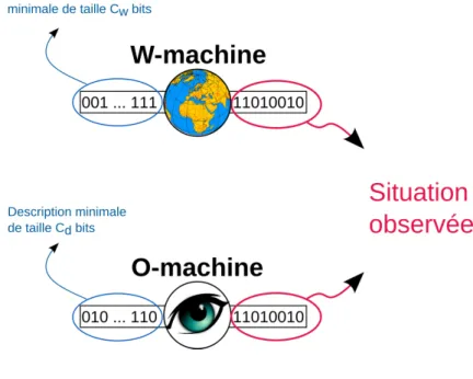 Figure 4.3 – O-machine et W-machine